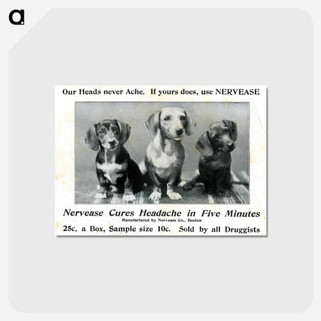 アートポストカード-Advertisement for Nervease Featuring Three Dogs
 - 国立医学図書館 Postcard.