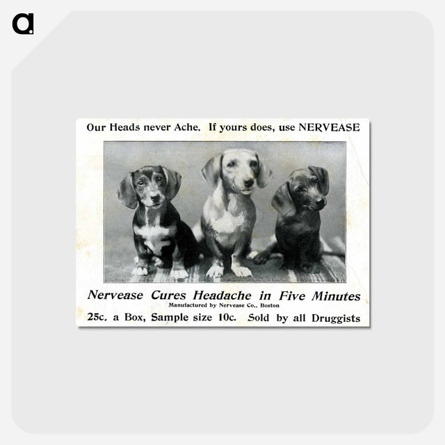 アートポストカード-Advertisement for Nervease Featuring Three Dogs
 - 国立医学図書館 Postcard.