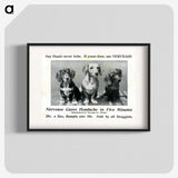 2-85_National-Library-of-Medicine_blk