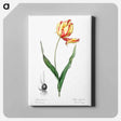 アートパネル-Didier's tulip illustration from Les liliacées - ピエール ジョゼフ ルドゥーテ Canvas.
