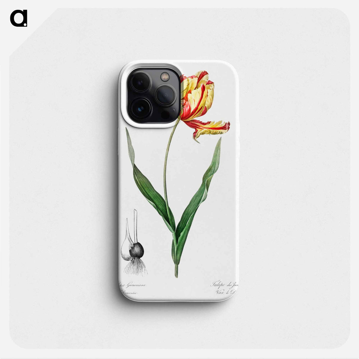 Didier's tulip illustration from Les liliacées - ピエール ジョゼフ ルドゥーテ Phone Case.