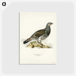 2-85_Svenska-Faglar_postcard