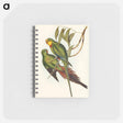 アートメモ帳-Black-tailed Parakeet
 - オーストラリアの鳥 Memo.