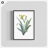 2-85_The-Lilies_blk-crop