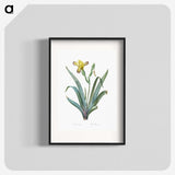 2-85_The-Lilies_blk