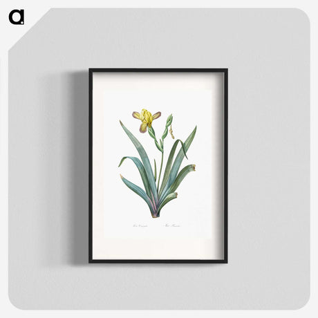 2-85_The-Lilies_blk