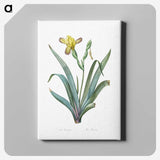 2-85_The-Lilies_canvas