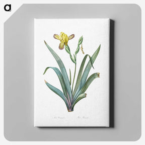 2-85_The-Lilies_canvas