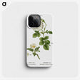 2-85_Treatise-on-Trees-and-Shrubs_phone