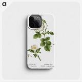 2-85_Treatise-on-Trees-and-Shrubs_phone