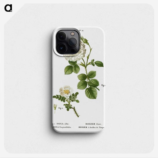 2-85_Treatise-on-Trees-and-Shrubs_phone