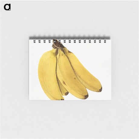 2-85_USDA-Watercolor-Fruit-Painting-Collection_memo