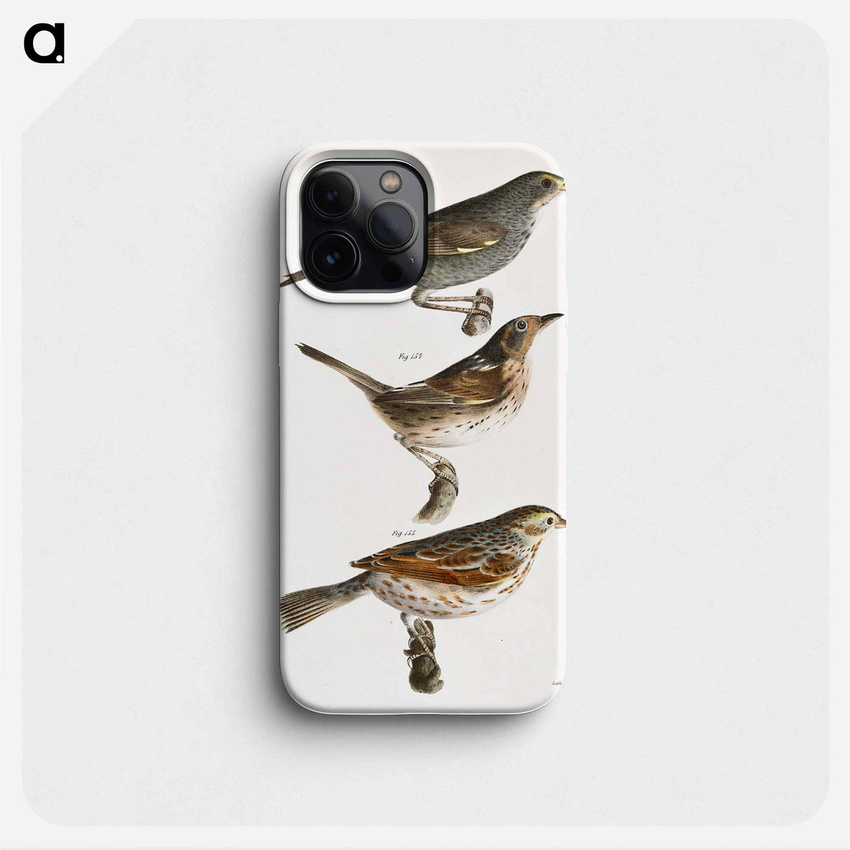 Seaside Finch (Ammodramus maritimus) 154. Quail-head (Ammodramus caudacutus) 155. Savannah Bunting (Emberiza savana) illustration from Zoology of New York by - ニューヨークの動物学 Phone Case.