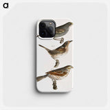 Seaside Finch (Ammodramus maritimus) 154. Quail-head (Ammodramus caudacutus) 155. Savannah Bunting (Emberiza savana) illustration from Zoology of New York by - ニューヨークの動物学 Phone Case.