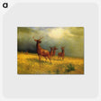2-86_Albert-Bierstadt_postcard