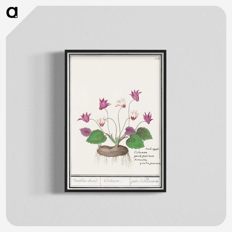 2-86_Anselmus-Boetius-de-Boodt_blk-crop