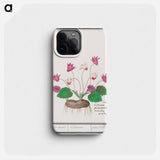 Cyclamen, Cyclamen - アンセルムス ボエティウス デ ブート Phone Case.