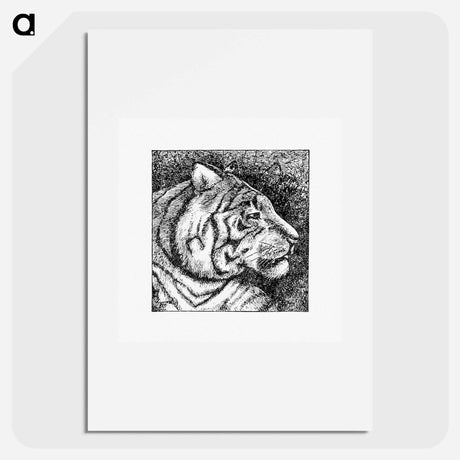 アートポスター-Tiger's Side Face Portrait
 - 大英図書館 Poster.