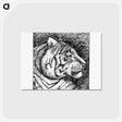 アートポストカード-Tiger's Side Face Portrait
 - 大英図書館 Postcard.