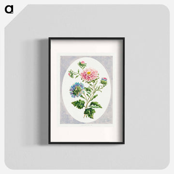 Large Double China Aster
 - クリーブランド美術館 Poster.