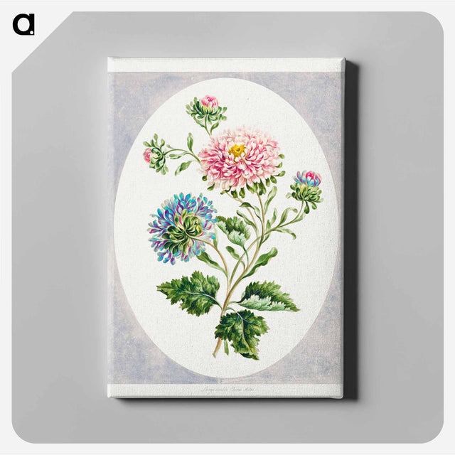 アートパネル-Large Double China Aster
 - クリーブランド美術館 Canvas.