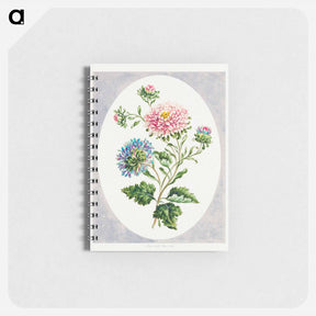 アートメモ帳-Large Double China Aster
 - クリーブランド美術館 Memo.