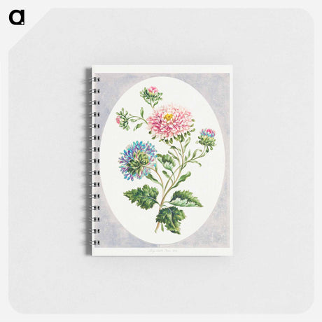 アートメモ帳-Large Double China Aster
 - クリーブランド美術館 Memo.