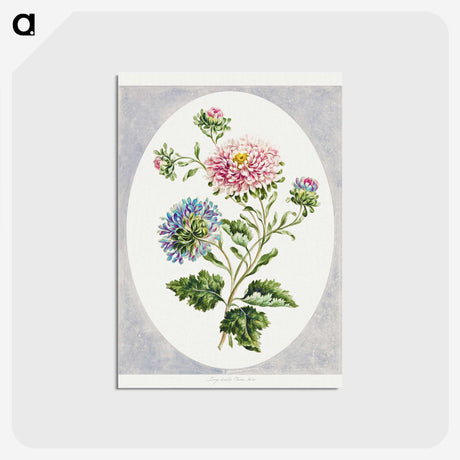 2-86_Cleveland-Museum-of-Art_postcard