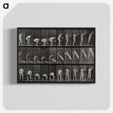 2-86_Eadweard-Muybridge_blk-crop