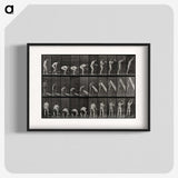 2-86_Eadweard-Muybridge_blk