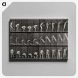2-86_Eadweard-Muybridge_canvas