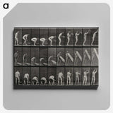 2-86_Eadweard-Muybridge_canvas