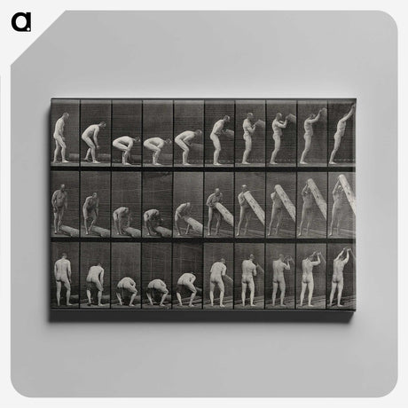 2-86_Eadweard-Muybridge_canvas