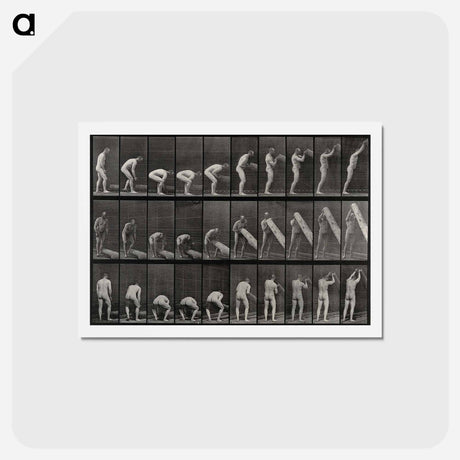 アートポストカード-Man Lifting a Trunk
 - エドワード マイブリッジ Postcard.