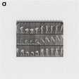 2-86_Eadweard-Muybridge_memo