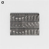 2-86_Eadweard-Muybridge_memo