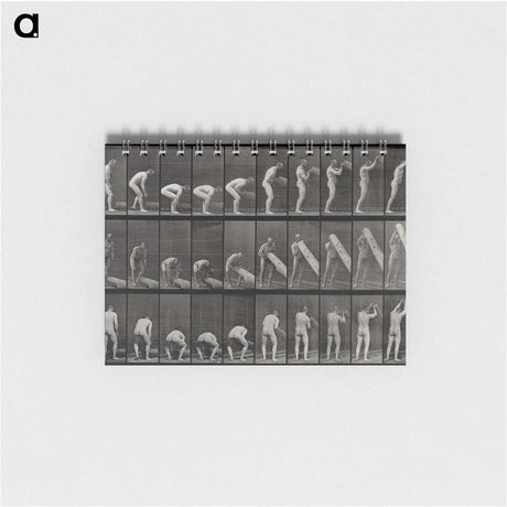 2-86_Eadweard-Muybridge_memo