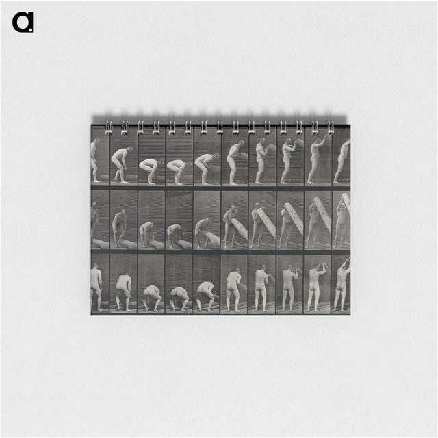 2-86_Eadweard-Muybridge_memo