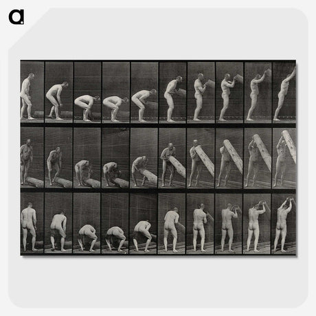 2-86_Eadweard-Muybridge_picture-crop