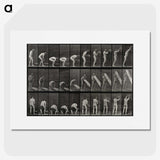 2-86_Eadweard-Muybridge_picture