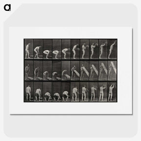 2-86_Eadweard-Muybridge_picture