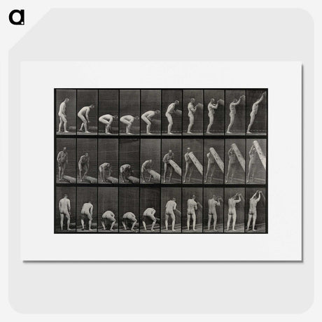 2-86_Eadweard-Muybridge_picture