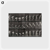 アートポストカード-Man Lifting a Trunk
 - エドワード マイブリッジ Postcard.
