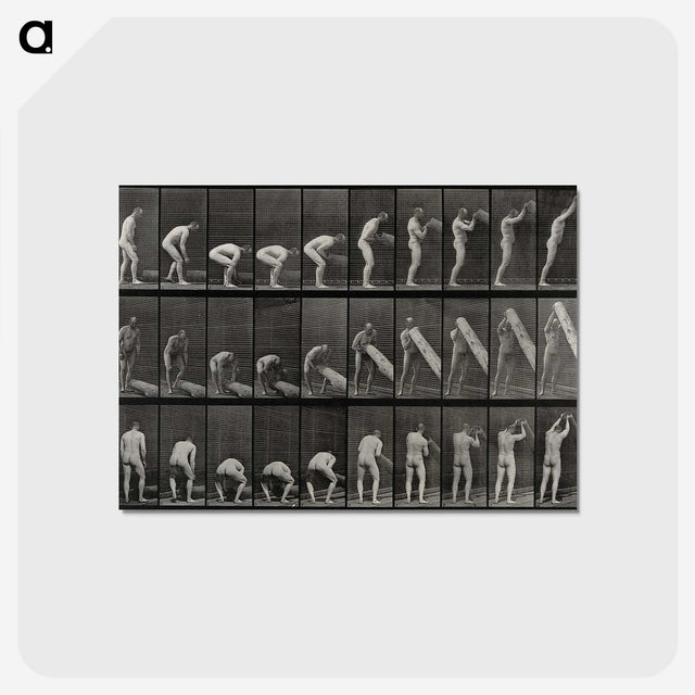 2-86_Eadweard-Muybridge_postcard