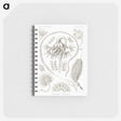 2-86_Ernst-Haeckel_memo
