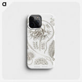 2-86_Ernst-Haeckel_phone