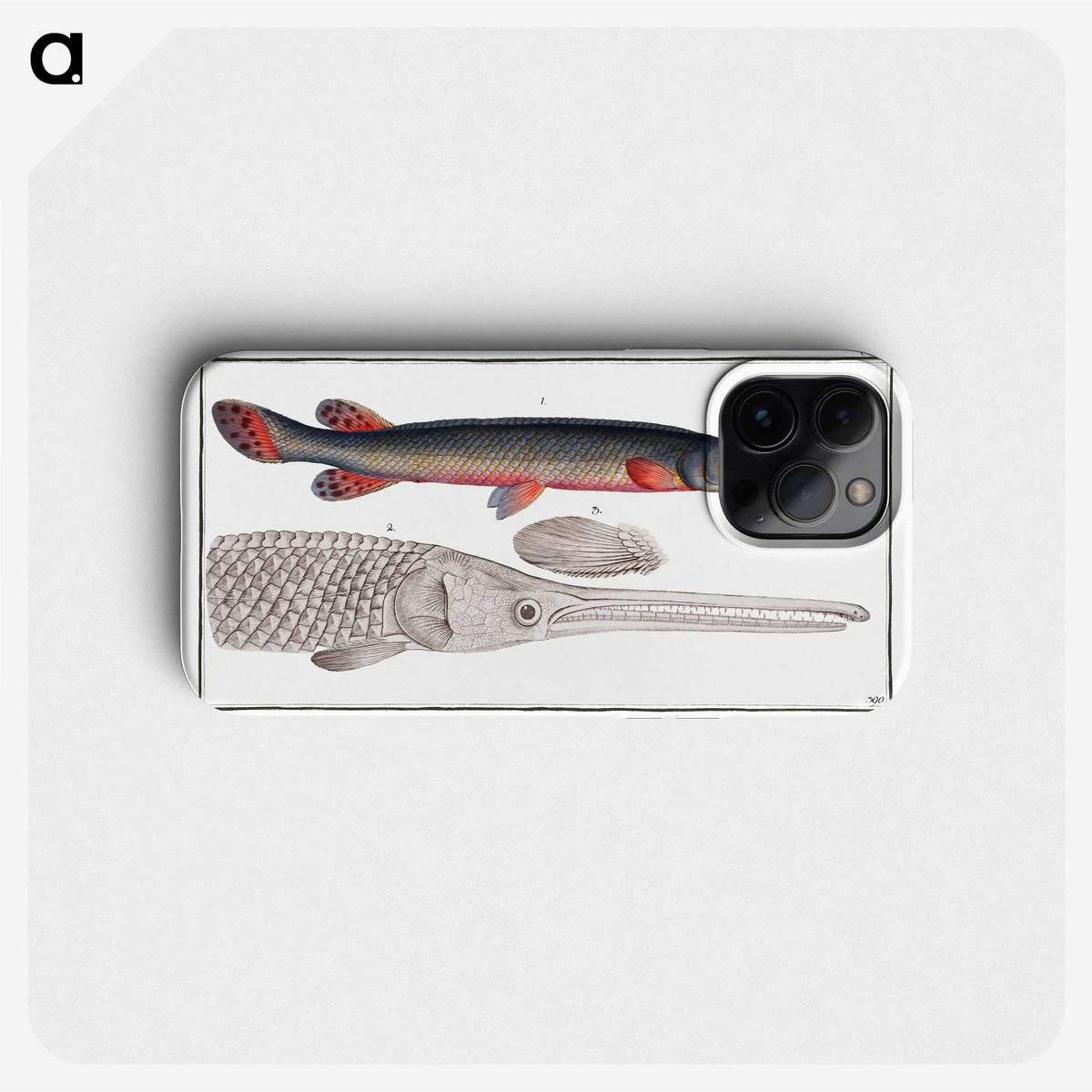 2-86_Ichtyologie-ou-Histoire-naturelle_phone