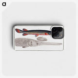 2-86_Ichtyologie-ou-Histoire-naturelle_phone