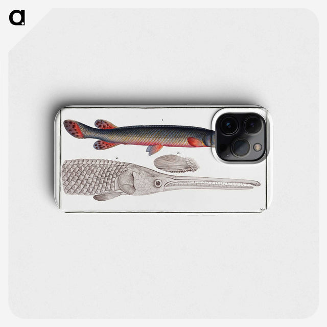 2-86_Ichtyologie-ou-Histoire-naturelle_phone