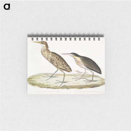 2-86_Indian-Zoology_memo